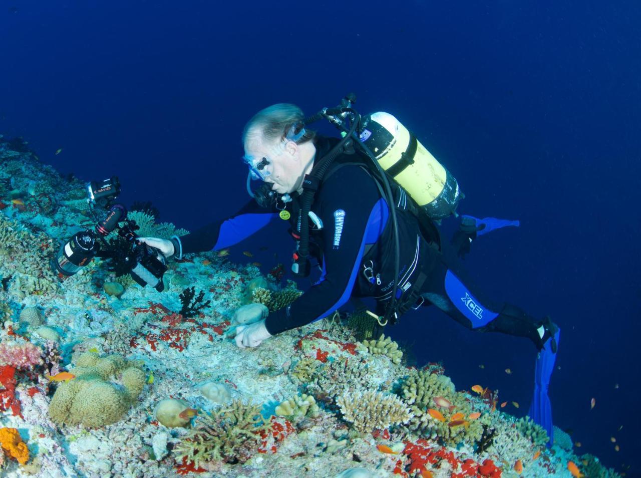 South Ari Dive Center Hotel Dhangethi Bagian luar foto