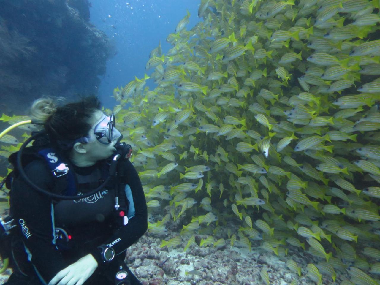 South Ari Dive Center Hotel Dhangethi Bagian luar foto