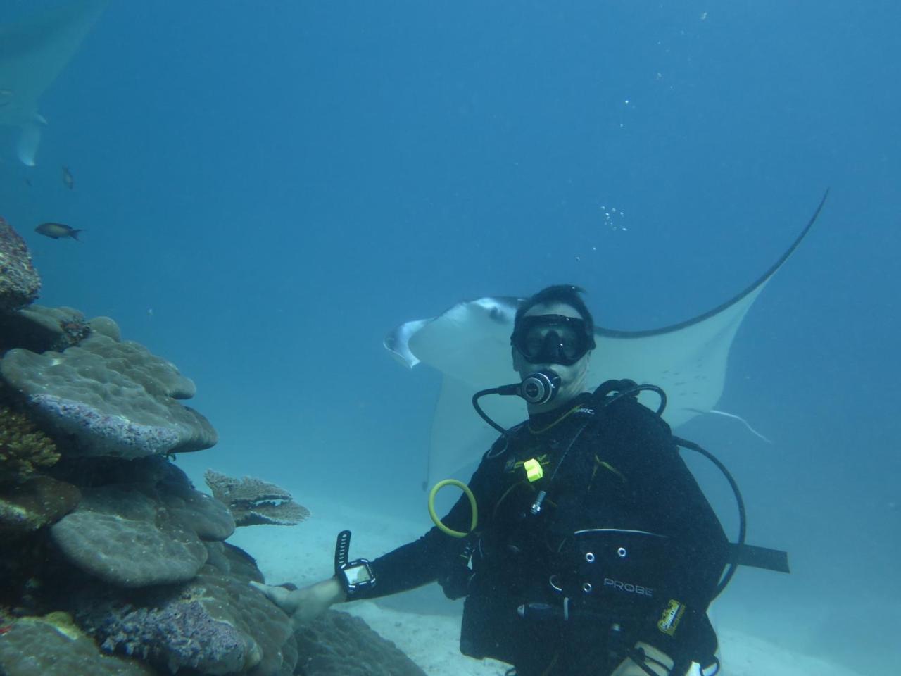 South Ari Dive Center Hotel Dhangethi Bagian luar foto