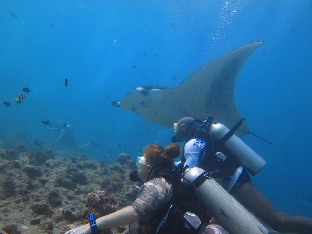 South Ari Dive Center Hotel Dhangethi Bagian luar foto