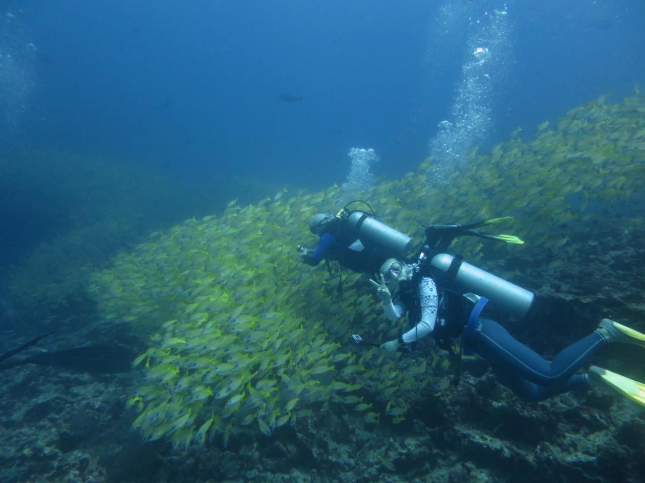 South Ari Dive Center Hotel Dhangethi Bagian luar foto