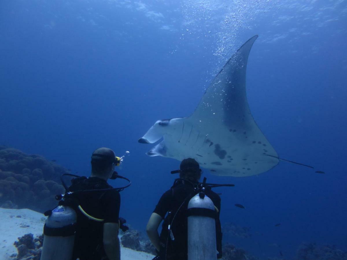 South Ari Dive Center Hotel Dhangethi Bagian luar foto